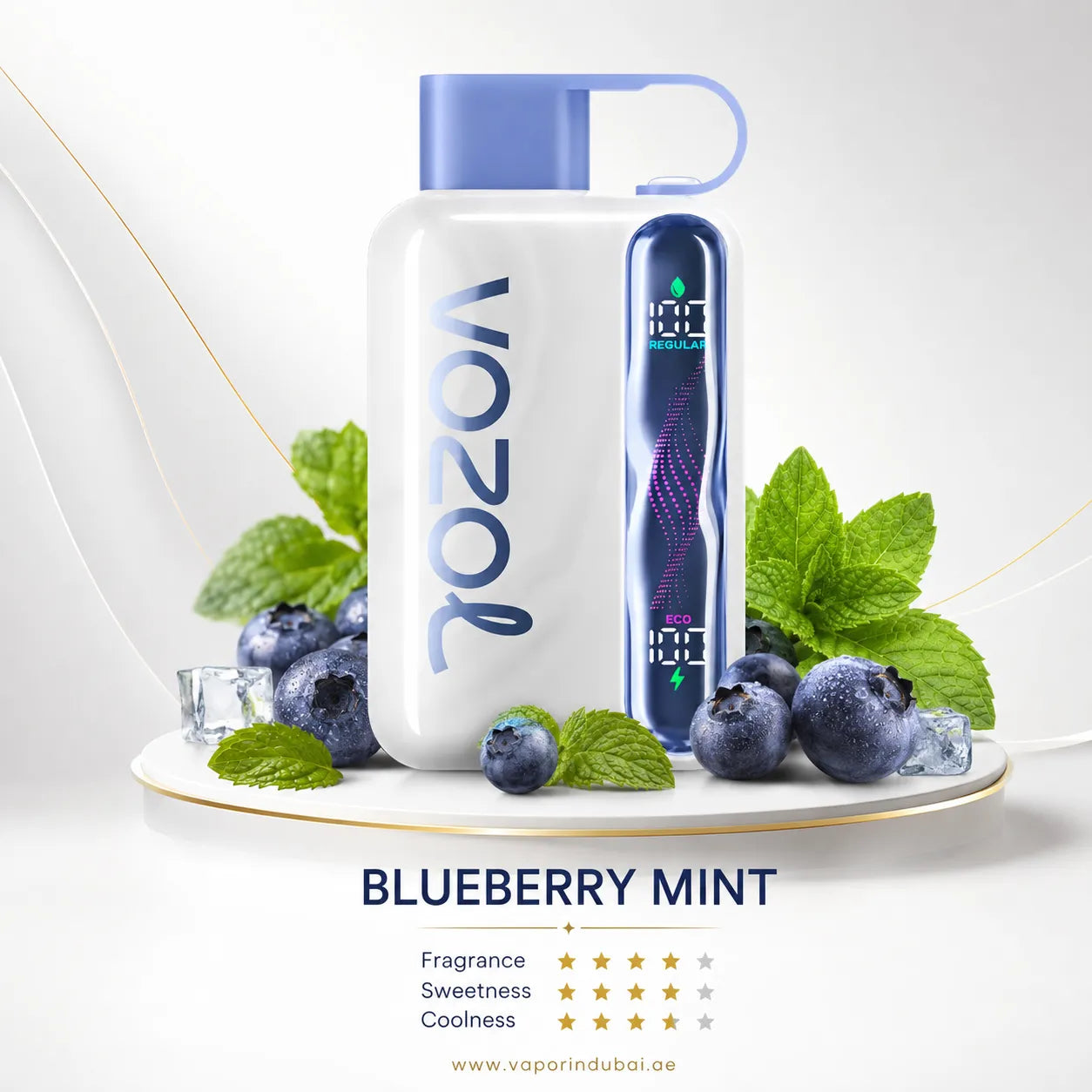 Vozol Star 40000 Puffs Disposable