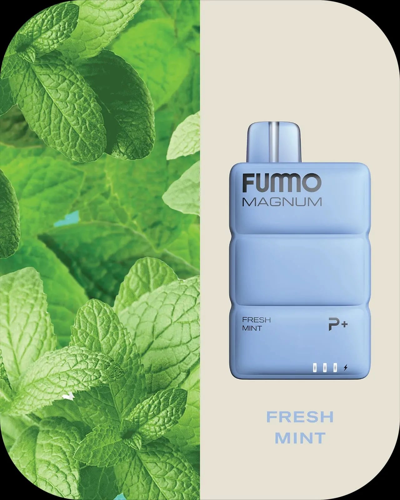 FUMMO MAGNUM 8000 puffs disposable vape