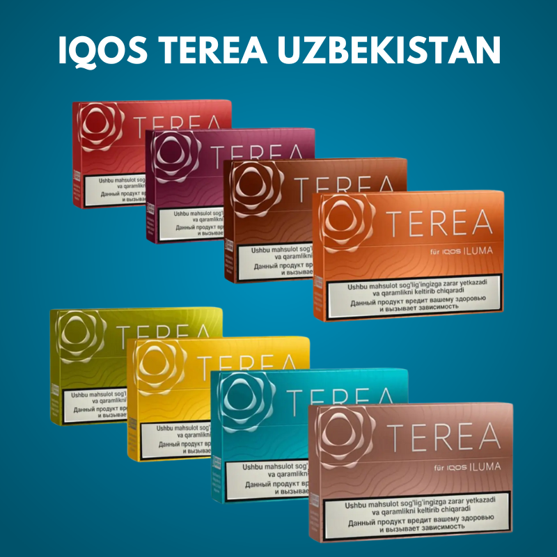 Iqos Terea Uzbekistan in UAE