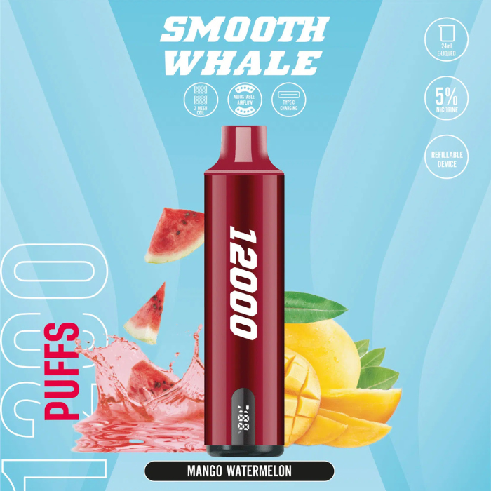 SMOOTH Whale Disposable 2% & 5% 12000 Puffs Rechargeable Vape in Dubai