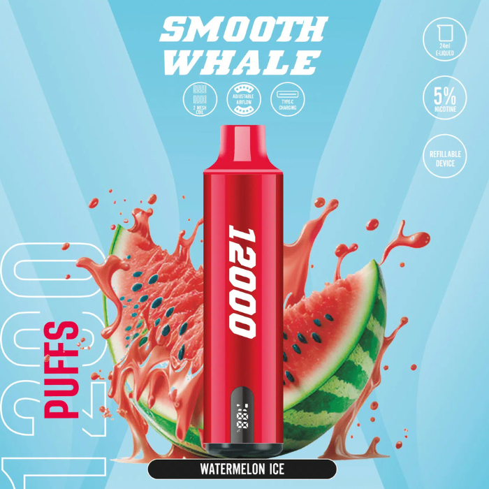 SMOOTH Whale Disposable 2% & 5% 12000 Puffs Rechargeable Vape in Dubai