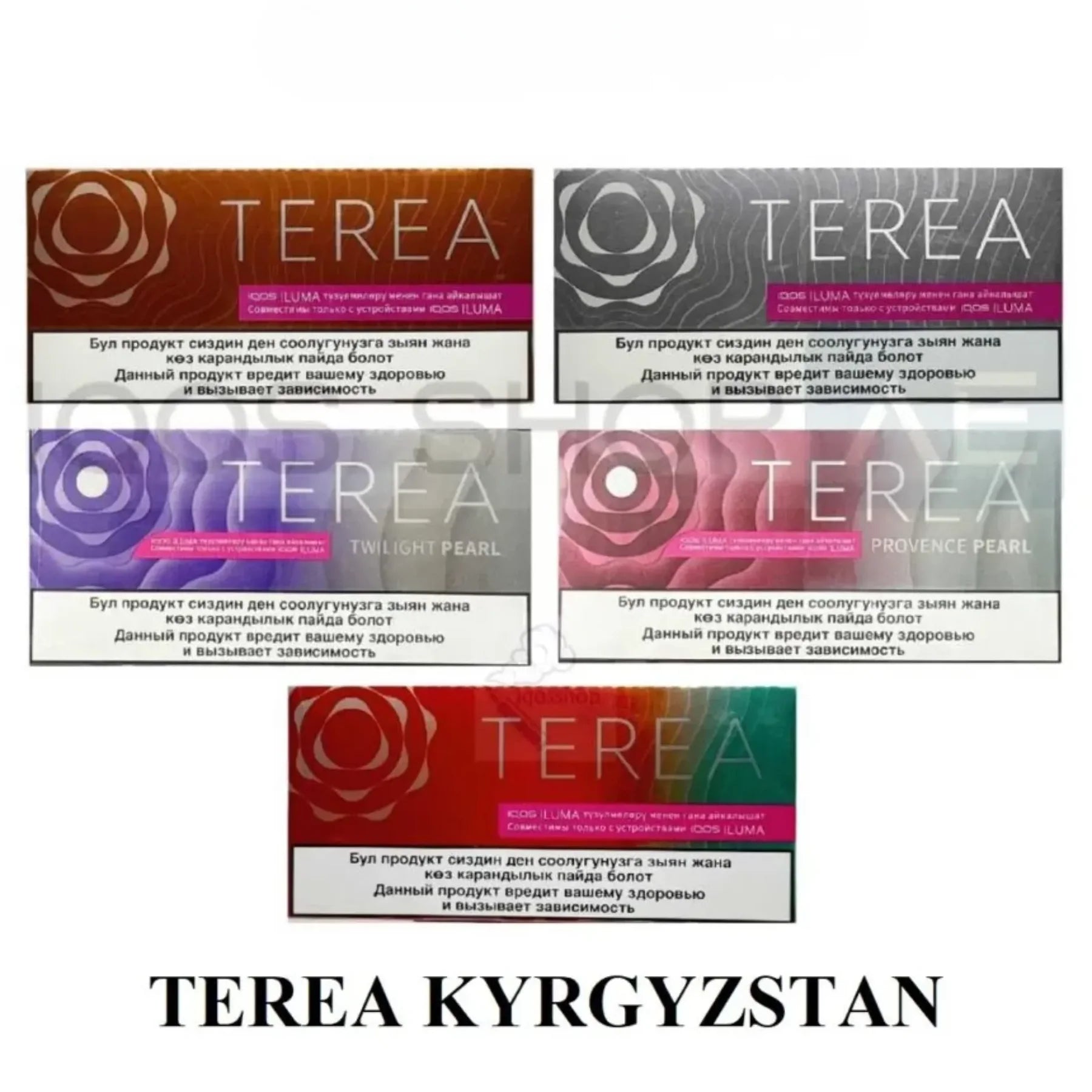 Terea Kyrgyzstan