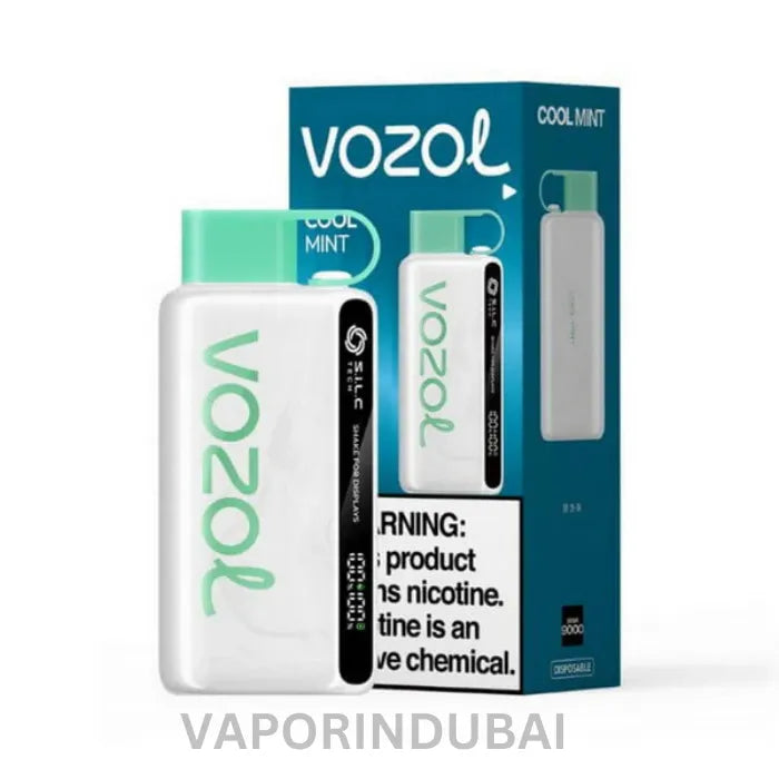 VOZOL STAR 12000 PUFFS DISPOSABLE VAPE In Dubai