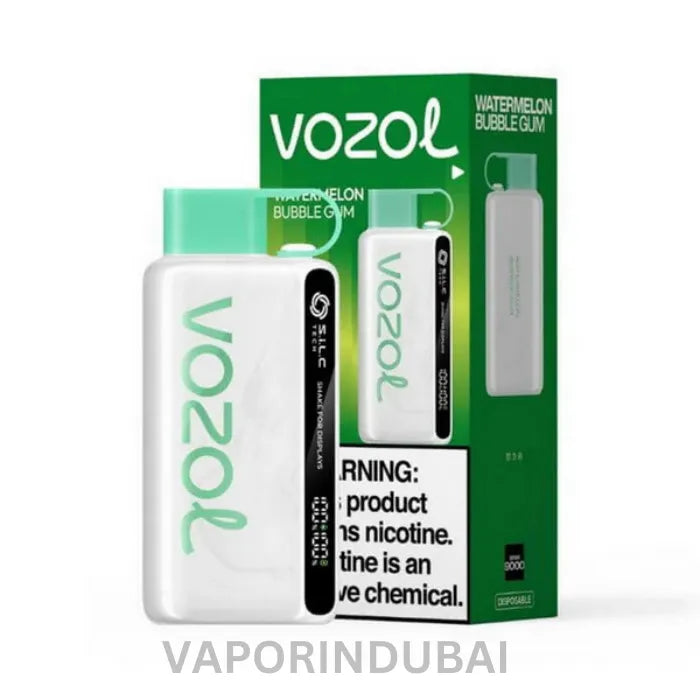 VOZOL STAR 12000 PUFFS DISPOSABLE VAPE In Dubai