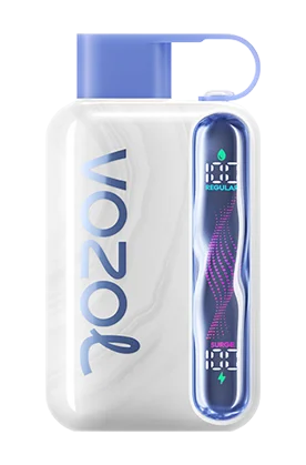 Vozol Star 40K Puffs Disposable Vape In UAE