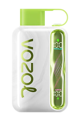 Vozol Star 40K Puffs Disposable Vape In UAE