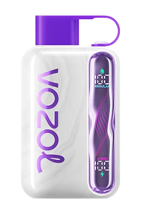 Vozol Star 40K Puffs Disposable Vape In UAE