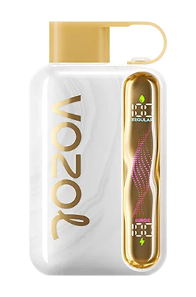 Vozol Star 40K Puffs Disposable Vape In UAE
