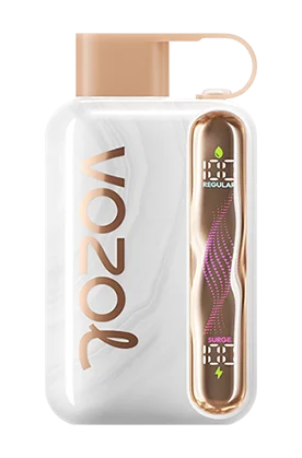 Vozol Star 40K Puffs Disposable Vape In UAE