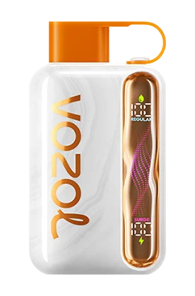Vozol Star 40K Puffs Disposable Vape In UAE