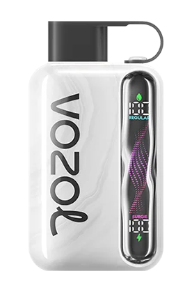 Vozol Star 40K Puffs Disposable Vape In UAE