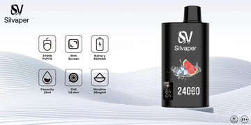 SILVAPER 24000 PUFFS DISPOSABLE VAPE DUBAI