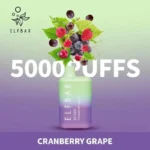 Elf Bar 5000 puffs