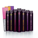Long-lasting 2500 Puff Disposable Vape by Pod Salt