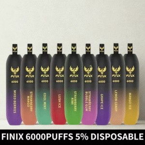 Finix-6000-Puffs-Disposable-Vape-5-Nicotine-in-Dubai-UAE.png