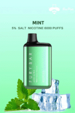 Fury-Bar-6000-Puffs-Ultra-Disposable-Vape-50mg-in-Dubai-UAE-Mint.png