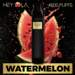 HEY-LOLA-Disposable-UK-BRAND-4500-Puffs-Vape-in-Dubai-Watermelon.png