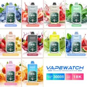 JNR Vape Watch 30000 30K Puffs