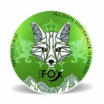 Best_White_Fox_Nicotine_Pouches_-_Peppered_Mint_near_me