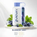 vosol star 40000 puffs in uae