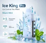 Elfbar_Ice_King_miami_mint