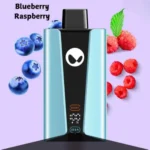 WAKA-SoPro-Blueberry-Raspberry