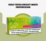 terea-bright-wave