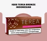 terea-bronze-Dubai