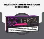 terea-dimension-yugen