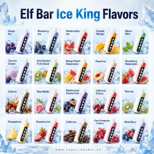 Elf Bar Ice King 30000